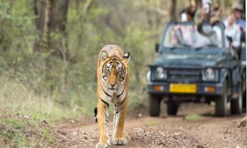 Best 4 Days Jaipur to Ranthambore Religious Tour Package