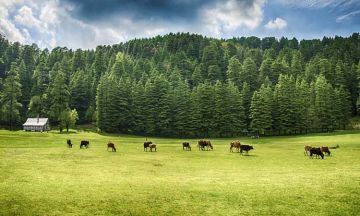 Amazing 5 Days Chandigarh to Dalhousie Luxury Vacation Package