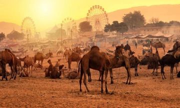 Amazing 8 Days 7 Nights Pushkar Honeymoon Trip Package