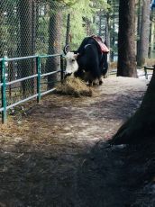 03 Night 04 Days Spiti Valley Package