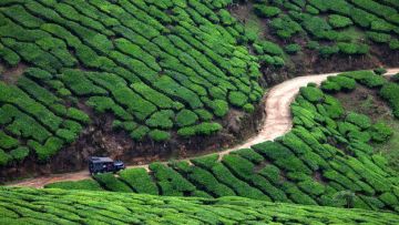 Heart-warming 5 Days Munnar, Thekkady, Alleppey and Kochin Family Tour Package