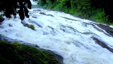 Magical 6 Days 5 Nights Athirapilly Vazhachal, Munnar, Thekkady with Alleppey Family Holiday Package