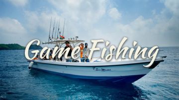 Experience 7 Days HAVELOCK ISLAND Fishing Trip Package