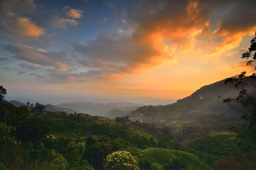 Amazing 4 Days Cochin to Munnar Nature Vacation Package