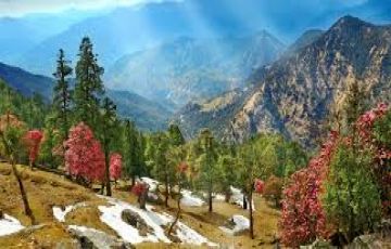 Family Getaway 3 Days Delhi to Almora Holiday Package