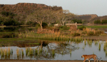 Best 3 Days 2 Nights Ranthambore Historical Places Tour Package