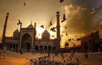 Magical Delhi Agra Jaipur Luxury Tour Package for 5 Days from Delhi