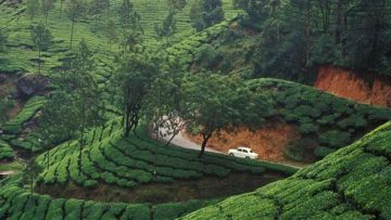 Experience Munnar Family Tour Package from Kochi