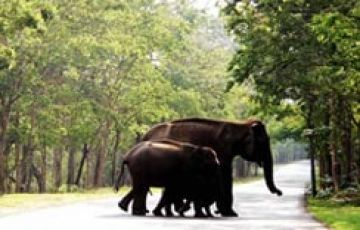 Ecstatic 3 Days Calicut with Wayanad Vacation Package