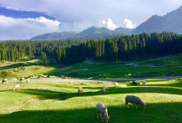 Pleasurable 5 Days Kashmir Offbeat Vacation Package