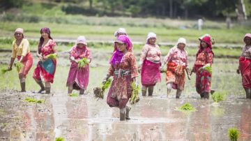 Beautiful 4 Days Nagarkot Mountain Trip Package