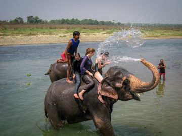 Beautiful 8 Days Chitwan Family Vacation Vacation Package