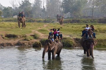 Beautiful 8 Days Chitwan Family Vacation Vacation Package