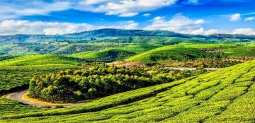 Amazing 8 Days 7 Nights Munnar Holiday Package