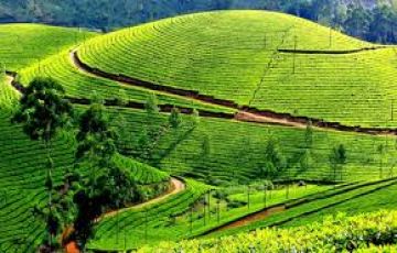 5 Days 4 Nights New Delhi to Thekkady Shopping Vacation Package