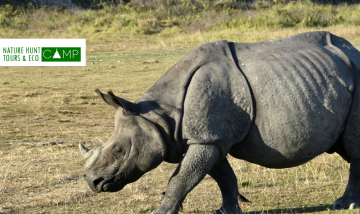 Memorable 7 Days Guwahati to Nameri National Park Tour Package