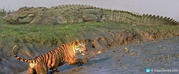 Best 3 Days 2 Nights Sunderban River Tour Package
