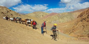 Family Getaway 8 Days Leh Vacation Package