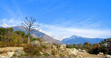Magical 5 Days Delhi to Manali Honeymoon Trip Package