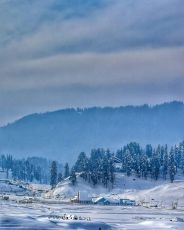 5 Days Leh, Nubravalley, Pangong Lake and Shamas Hemis Hill Trip Package