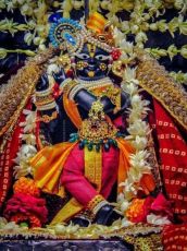 Heart-warming 3 Days Govardhan Friends Holiday Package