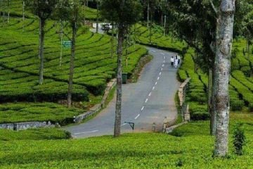 Ecstatic 3 Days Ooty Friends Holiday Package