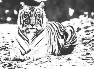 Beautiful 4 Days 3 Nights Nainital Family Vacation Package