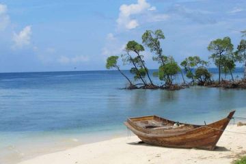 Amazing 4 Days Andaman And Nicobar Islands Fishing Trip Package