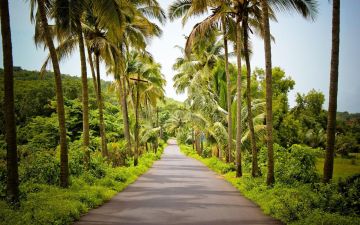Best Goa Offbeat Tour Package for 4 Days