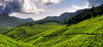 Amazing 3 Days Kochi to Munnar Culture Tour Package
