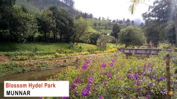 Amazing 3 Days Kochi to Munnar Culture Tour Package