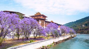 7 Days 6 Nights Phuentsholing, Thimphu, Punakha and Paro Luxury Vacation Package