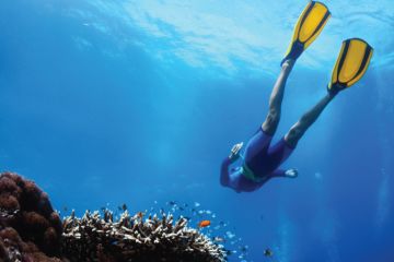Beautiful 8 Days 7 Nights Colombo Tour Package Beautiful 8 Days 7 Nights Colombo Tour Package