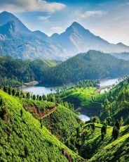 5 Days Kochi to Thekkady Romantic Vacation Package