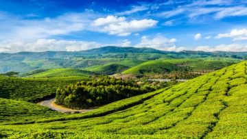 Heart-warming 4 Days Delhi to Munnar Tour Package