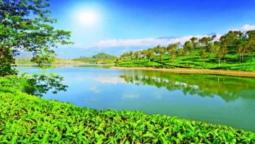 Beautiful Thekkady Tour Package for 8 Days 7 Nights from Delhi