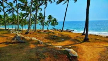 Experience Guruvayoor Tour Package from Delhi