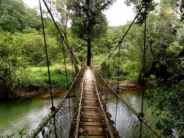 Pleasurable 6 Days Bengaluru to Coorg Nature Holiday Package
