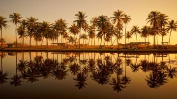 Amazing 6 Days Munnar, Alleppey and Kovalam Trip Package