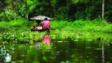 Family Getaway 9 Days Munnar, Thekkady, Alleppey with Kumarakom Vacation Package