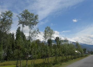 Amazing 2N Srinagar Hotel Tour Package for 6 Days from Airport
