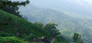 Amazing 4 Days Kochi to Munnar Trip Package