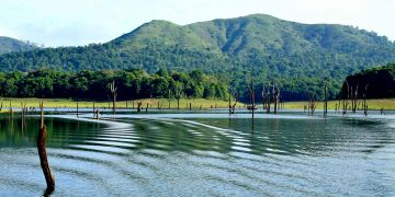 Amazing 4 Days Kochi to Munnar Trip Package