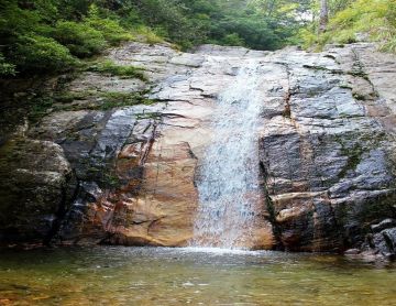 Experience 7 Days New Delhi to Kausani Family Holiday Package