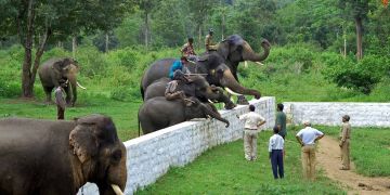 Pleasurable 7 Days Coorg Friends Vacation Package