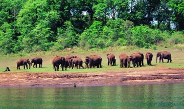 Amazing 5 Days Kerala, India to Alleppey Family Vacation Package