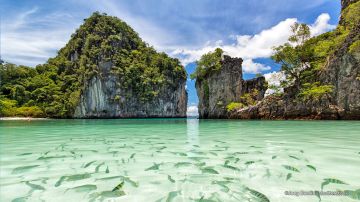 Pleasurable 5 Days Phuket, Thailand to Krabi Wildlife Vacation Package