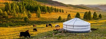 14 Days 13 Nights Khogno Khan Nature Reserve Vacation Package