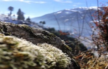 Beautiful 6 Days Delhi to Shimla Honeymoon Vacation Package