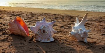 Best Bali Luxury Tour Package for 6 Days 5 Nights from Kolkata